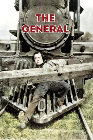 The General (1926) is one of the best movies like Mrs. Winterbourne (1996)