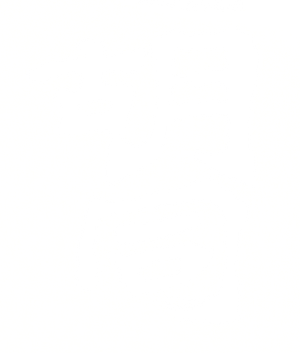 胡同 — Logos 2