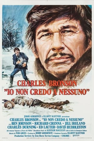 Poster Io non credo a nessuno 1975