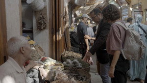 Les trésors oubliés de la médecine arabe