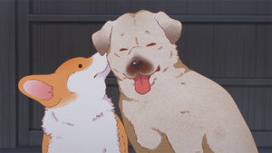The Corgi and the Samurai: 1×12