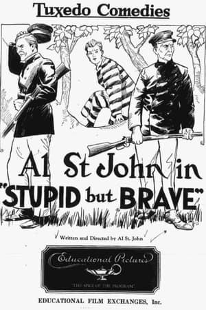 Poster Stupid, but Brave 1924