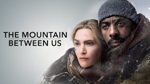 The Mountain Between Us (2017)