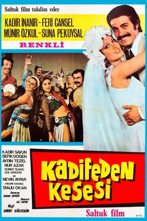 Poster Kadifeden Kesesi (1973)