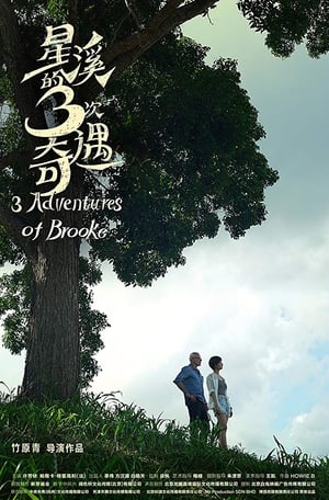 Poster Three Adventures of Brooke (2019)
