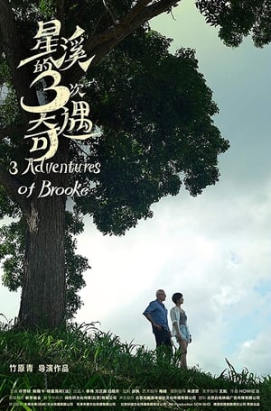 Poster 星溪的3次奇遇 2019