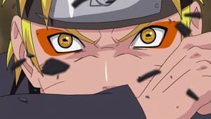 Naruto Shippuden: 8×164