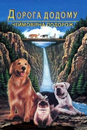 Poster Дорога додому: Неймовірна подорож 1993