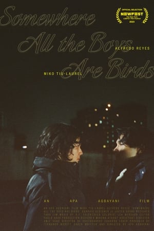 Image Somewhere all the boys are birds