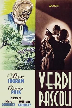 Poster di Verdi pascoli