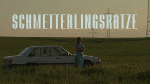 Schmetterlingskatze