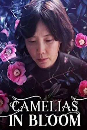 Poster Camellias in Bloom (2017)