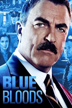 Blue Bloods: Kausi 4