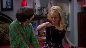 The Big Bang Theory Temporada 5 Capitulo 24