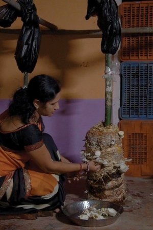 Nonton film Mushroom: The Magical Fungi (2022) terbaru sub indo Nonton film Mushroom: The Magical Fungi (2022) terbaru sub indo
