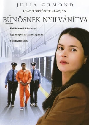 Poster Bűnösnek nyilvánítva 2010