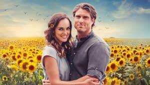 Love Stories in Sunflower Valley