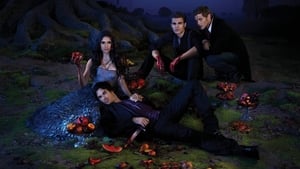 The Vampire Diaries Season 1 to 8 Complete
