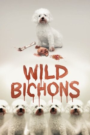 Image Wild Bichons