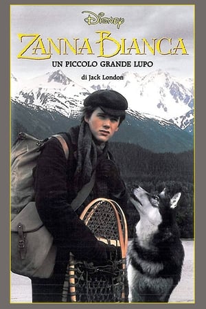 Image Zanna Bianca - Un piccolo grande lupo