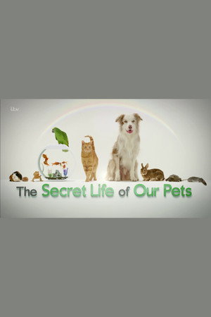 The Secret Life of Our Pets