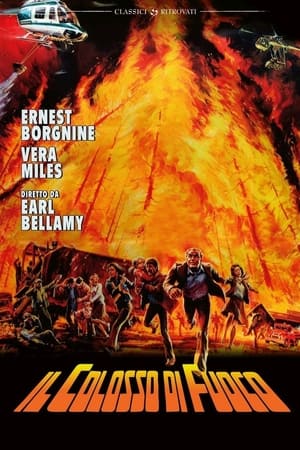 Poster Il colosso di fuoco 1977