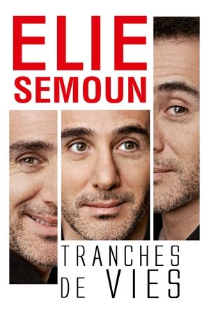 Poster Elie Semoun : Tranches de vies (2012)