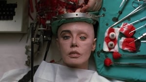 Cyborg: Ataque del Futuro (1989) DVDRIP LATINO
