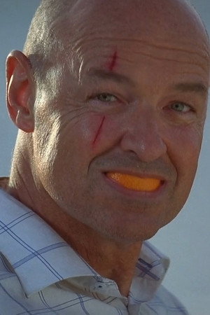 Lost : Les disparus - Saison 1 - poster n°7