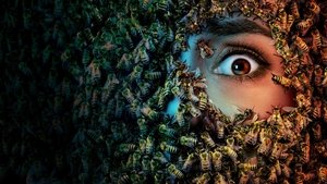 Images posters