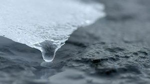 O Ano Selvagem da África: 1×4