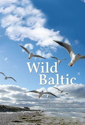 Image Wild Baltic