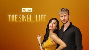 poster 90 Day: The Single Life