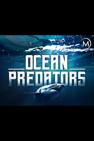 Serie Depredadores del océano Depredadores del océano