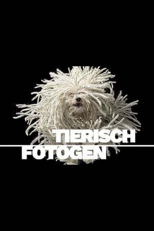 Image Tierisch fotogen