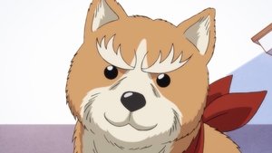 Oda Cinnamon Nobunaga: 1×1
