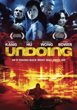 Poster Undoing 2007