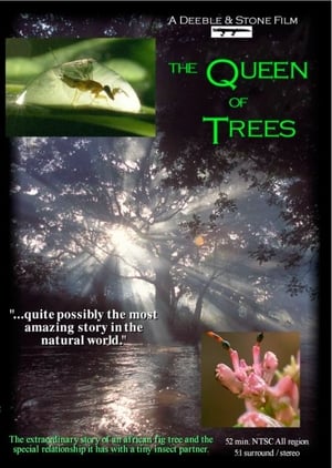 Image The Queen of Trees