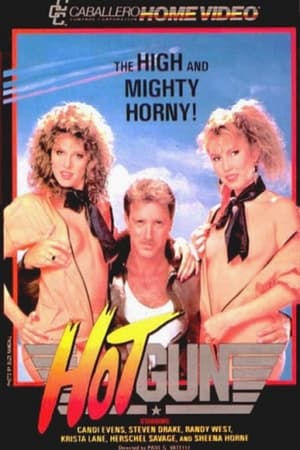 Poster Hot Gun (1986)