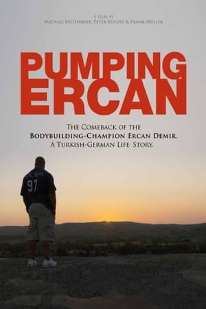 Poster Pumping Ercan 2012