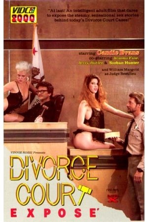 Poster Divorce Court Expose (1987)