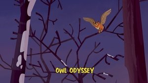 Wild Kratts Owl Odyssey