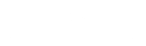 Return of the Street Fighter