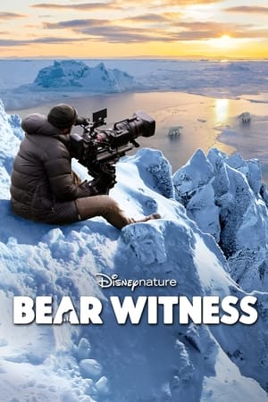 Poster Bear Witness 2022