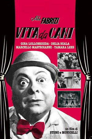 Vita da cani