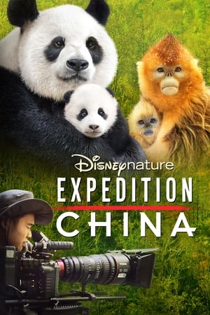 Poster 중국야생탐험 2017