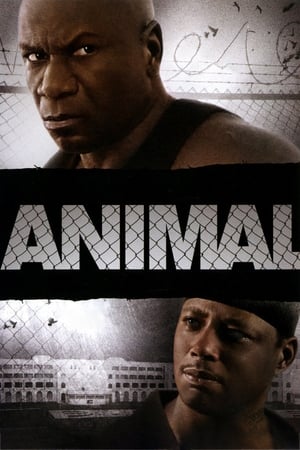 Poster Animal - Gewalt hat einen Namen 2005