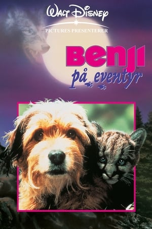 Benji på eventyr