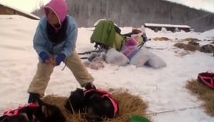 Iditarod: Toughest Race on Earth The King and the Pauper