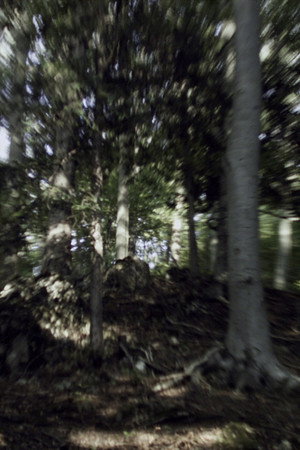 VERTIGO RUSH (2007)